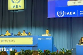 L'ambassadeur Vu Lê Thai Hoàng, représentant permanent du Vietnam auprès de l’AIEA et des organisations internationales à Vienne, s'exprime à la séance plénière. Photo: VNA
