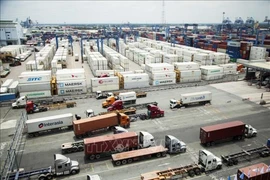 Le Vietnam mise sur la résilience et la diversification pour maintenir son élan d'exportation. Photo: VNA