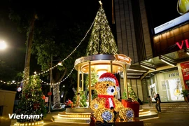 Des églises aux espaces de loisirs, des centres commerciaux aux hôtels historiques à Hanoï, de grands sapins de Noël illuminés apparaissent partout. Photo: VNA
