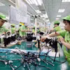 Bandai Vietnam, une entreprise à investissement direct étranger, crée des emplois stables à près de 1 000 travailleurs. Photo : VNA