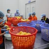 Préparation des fruits pour la production de jus à l'usine de la société par actions Wana Beverage, implantée dans la zone industrielle de Chau Duc, à Ba Ria-Vung Tau. Photo : VNA