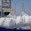 Les exportations de riz du Vietnam devraient dépasser les 8,2 millions de tonnes. Photo: VNA