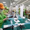 Ligne de production de faisceaux de câbles électriques chez la société Bandai Vietnam, implantée dans la zone industrielle Bo Trai, quartier de Hoa Binh, province de Phu Tho. Photo : VNA