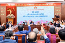 Le Présidium du Comité central du Front de la Patrie du Vietnam a validé à l’unanimité la liste des 217 candidats issus des organes centraux autorisés à se présenter aux élections législatives de la 16e législature. Photo: VNA