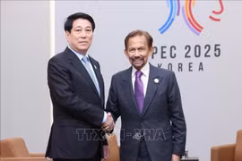 Le président vietnamien Luong Cuong (gauche) s’est entretenu, dans l’après-midi du 31 octobre, avec le Sultan de Brunei, Haji Hassanal Bolkiah. Photo: VNA