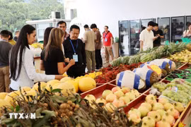 De nombreux fruits vietnamiens, comme le durian et le fruit de la passion, sont exposés et proposés à la vente au poste-frontière international de Huu Nghi (Chine). Photo : VNA