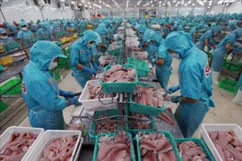 Les produits de la mer constituent l'un des principaux produits d'exportation. Photo : VNA