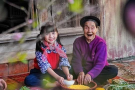 Prendre soin des personnes âgées au Vietnam : la nécessité d’une stratégie précoce et durable
