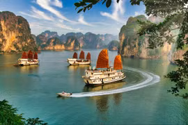 La baie d'Ha Long. Photo: Internet