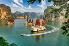La baie d'Ha Long. Photo: Internet