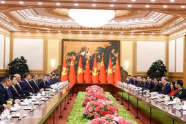 Entretien entre le secrétaire général et président chinois Xi Jinping et le secrétaire général du Parti communiste et président du Vietnam To Lam. Photo: VNA
