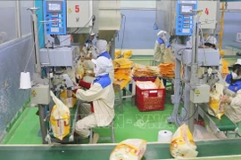 Conditionnement de riz destiné à l'exportation à l'usine de Thao Son Foodstuff, filiale du groupe Loc Troi. Photo : VNA