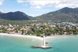 La création d’un modèle de crédits carbone issus des forêts et des océans de Con Dao apparaît comme une solution innovante, ouvrant la voie à une économie verte et soutenant les engagements nationaux de réduction des émissions de gaz à effet de serre. Photo: VNA