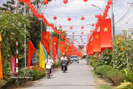 Vinh Long compte plus de 3,2 millions d'électeurs. La province élira 18 députés à l'Assemblée nationale, 85 députés au Conseil populaire provincial et 2 701 membres des Conseils populaires communaux. Photo: VNA
