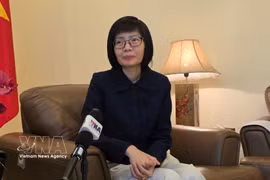 L’ambassadrice Ton Thi Ngoc Huong, représentante permanente du Vietnam auprès de l'ASEAN. Photo: VNA