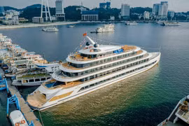 De nombreux navires de croisière de luxe sont investis par des entreprises pour accueillir les touristes visitant la baie d'Ha Long. Photo : vdstravel.com