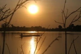 Can Tho : après des années de disette, la crue généreuse redonne le sourire aux pêcheurs 