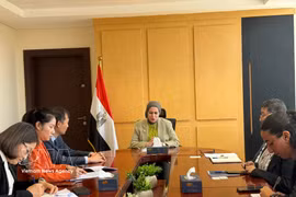 La réunion entre l’ambassadeur du Vietnam en Égypte, Nguyen Nam Duong, et la vice-ministre égyptienne des Affaires étrangères chargée de la coopération internationale, Samar Al-Ahdal. Photo: VNA