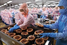 En 2026, le secteur de l’agriculture et de l’environnement a atteint, voire dépassé, les neuf objectifs fixés par le gouvernement, jetant ainsi des bases solides pour une nouvelle phase de développement. Photo: VNA