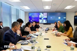Le vice-ministre des Finances, Cao Anh Tuân, a rencontré Sarah Kemp, vice-présidente des affaires gouvernementales internationales chez Intel, le 13 mai (heure locale). Photo: VNA