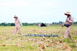 Dépollution des terres contaminées par la dioxine. Photo: VNA