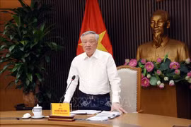 le vice-Premier ministre permanent Nguyen Hoa Binh à la réunion. Photo: VNA 