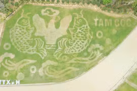 Ninh Binh : Une rizière transformée en œuvre d'art pour la Semaine du tourisme
