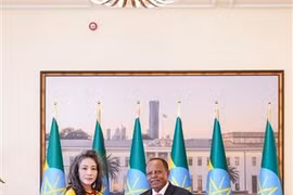 L'ambassadrice du Vietnam en Tanzanie et en Éthiopie, Vu Thanh Huyen, et le président d'Éthiopie, Taye Atske Selassie. Photo: VNA