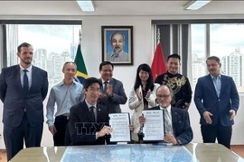 Signature du protocole d’accord entre la Chambre de commerce Brésil–Vietnam (BVC) et la Chambre de commerce et d’industrie Brésil-Vietnam de l’État brésilien d’Espírito Santo (CCBV-ES). Photo: VNA