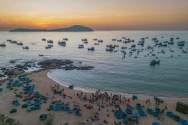 La quiétude rustique du marché aux poissons de Phuoc Dông à Dak Lak