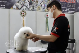 Le Vietnam s’impose comme une destination stratégique pour les exportateurs sud-coréens d’aliments et d’accessoires pour animaux de compagnie. Photo: VNA