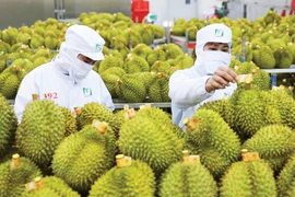 Photo: vneconomy.vn