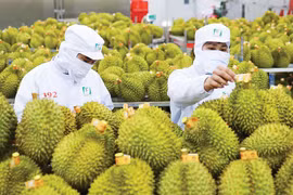 Photo: vneconomy.vn
