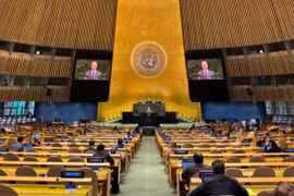 La Session extraordinaire d'urgence de l’Assemblée générale des Nations Unies. Photo: VNA
