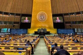 La Session extraordinaire d'urgence de l’Assemblée générale des Nations Unies. Photo: VNA
