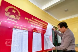 Les électeurs se renseignent soigneusement sur les candidats avant de voter. Photo : Vietnam+