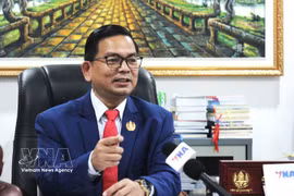 Le Dr Kin Phea, directeur général de l’Institut des relations internationales du Cambodge (RAC). Photo : VNA