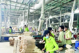 Les exportations forestières atteignent un record de 17,3 milliards de dollars. Photo: vneconomy.vn