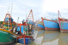 Dong Thap renforce la gestion de sa flotte de pêche pour lutter contre la pêche INN. Photo: Congly.vn