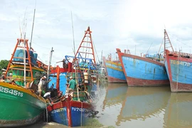Dong Thap renforce la gestion de sa flotte de pêche pour lutter contre la pêche INN. Photo: Congly.vn
