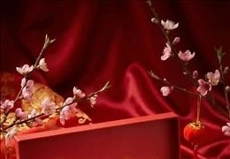 Le cheval à l’honneur sur timbres et pièce de collection à l'occasion du Nouvel An lunaire 2026. Photo: VNA