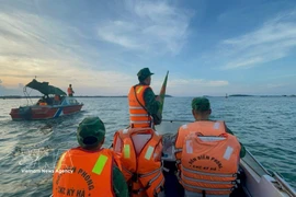 Da Nang met en œuvre les recommandations de la Commission européenne dans la lutte contre la pêche INN. Photo: VNA