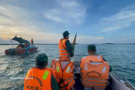 Da Nang met en œuvre les recommandations de la Commission européenne dans la lutte contre la pêche INN. Photo: VNA