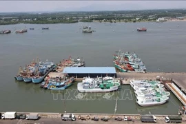 Port de pêche de Cat Lo, quartier de Phuoc Thang, à Hô Chi Minh-Ville. Photo : VNA