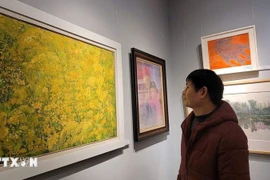 Un visiteur à l'exposition "Couleurs de l’amitié". Photo: VNA