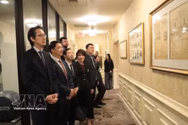 Les membres de la délégation vietnamienne effectuent des recherches sur des documents relatifs au Président Ho Chi Minh. Photo : VNA