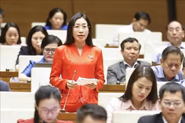 La députée Hoang Thi Thanh Thuy, province de Tay Ninh, plaide pour un contrôle préalable des livestreams promouvant des produits pouvant affecter la santé publique, comme les compléments alimentaires ou les cosmétiques. Photo: VNA