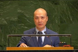 Le ministre conseiller Nguyen Hoang Nguyen, représentant permanent adjoint du Vietnam auprès des Nations Unies. Photo: VNA