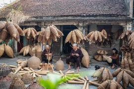 Le village de vannerie de nasses à poissons de Thu Sy