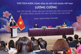 Le président Luong Cuong à la rencontre des Vietnamiens d’outre-mer en République de Corée. Photo: VNA